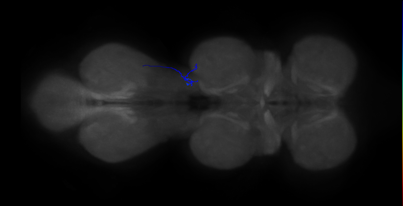 BANC_626:720575941497642465
