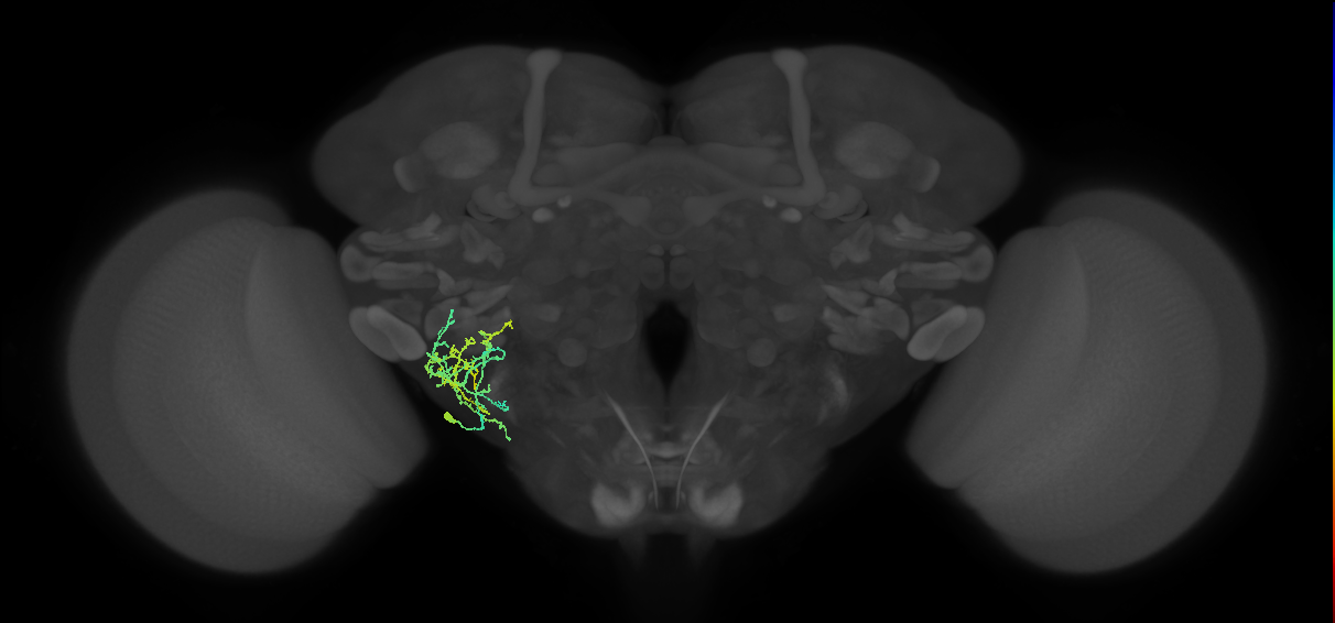 BANC_626:720575941497805179