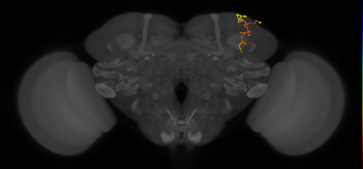 CB2629