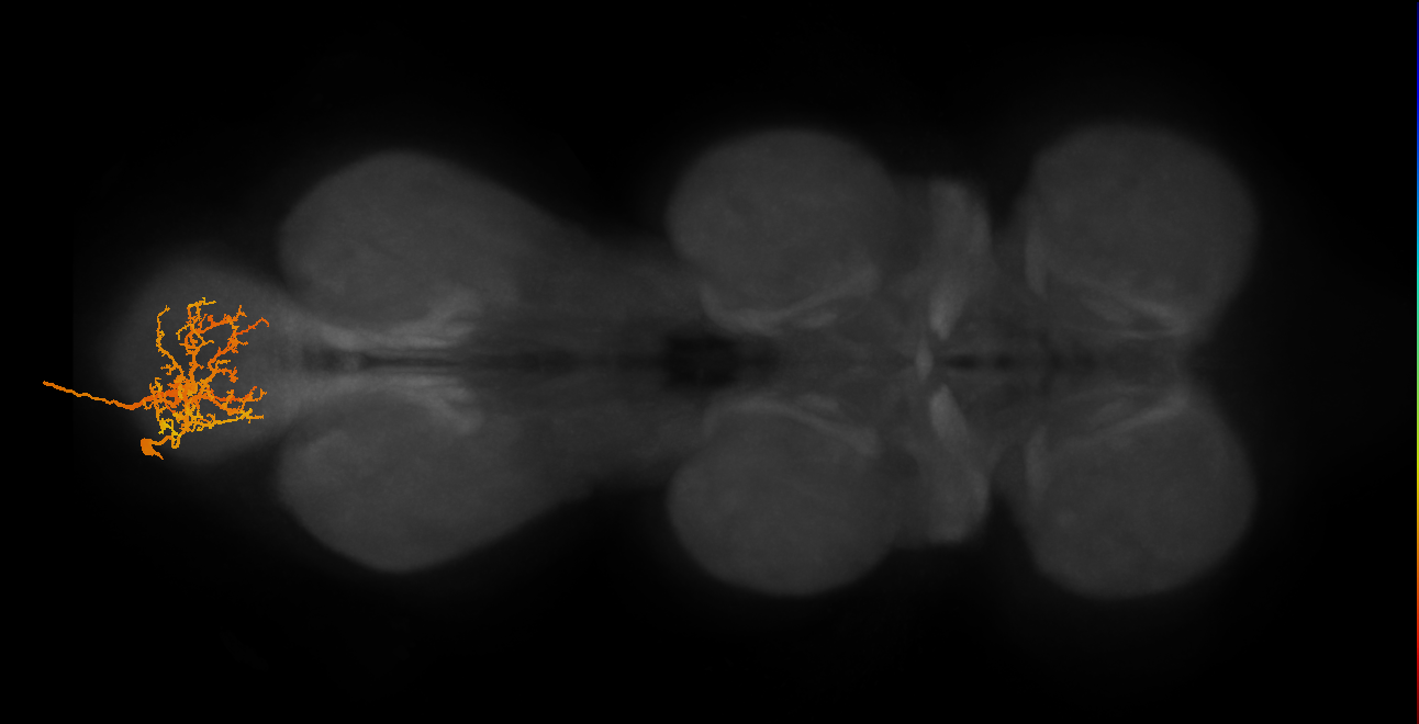 MNad58