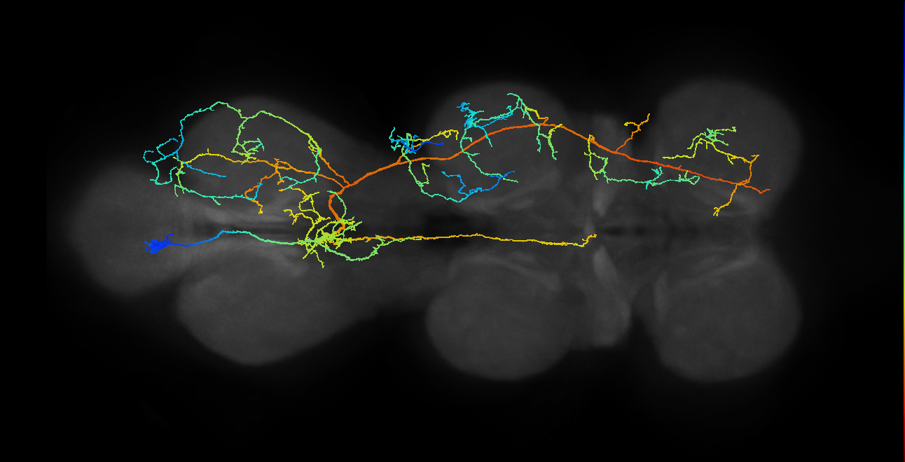 BANC_626:720575941502197643