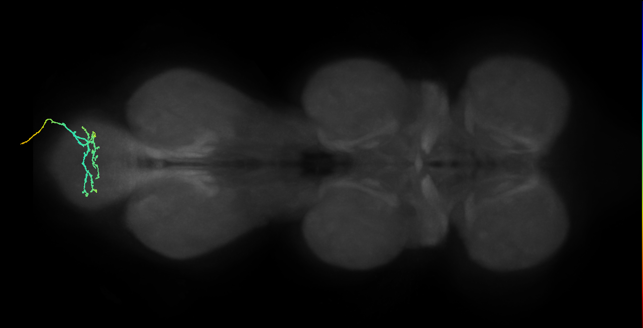 SNch01