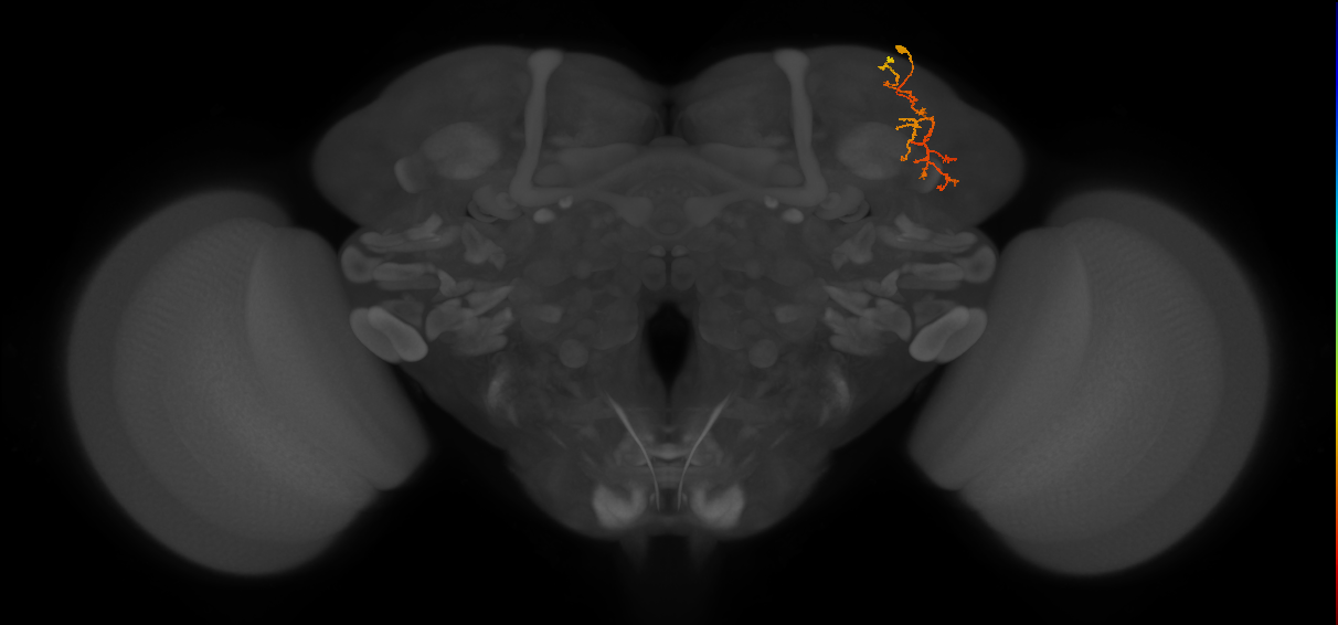CB2629