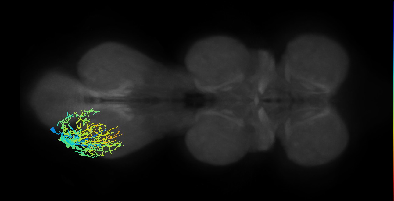 BANC_626:720575941486450317