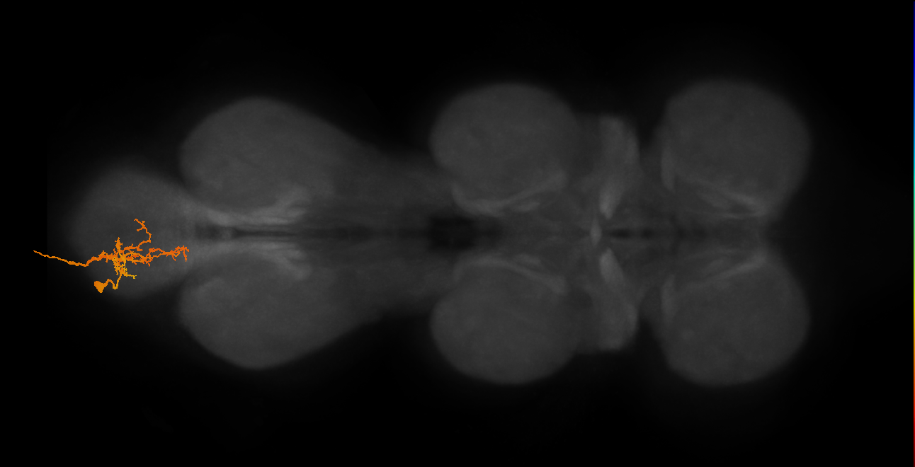 MNad01