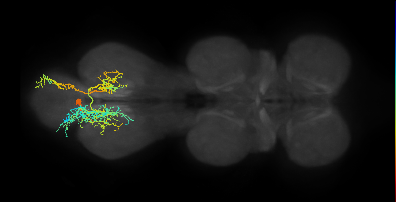 BANC_626:720575941490417717