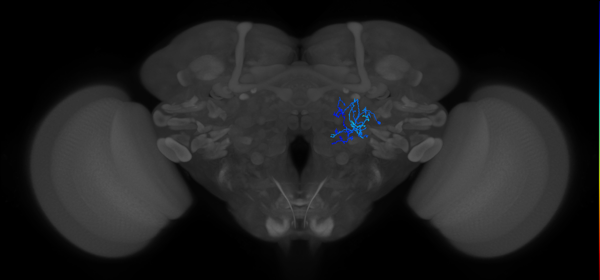 CB1546