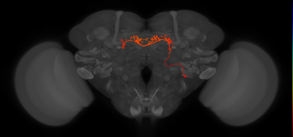 BANC_626:720575941491974887