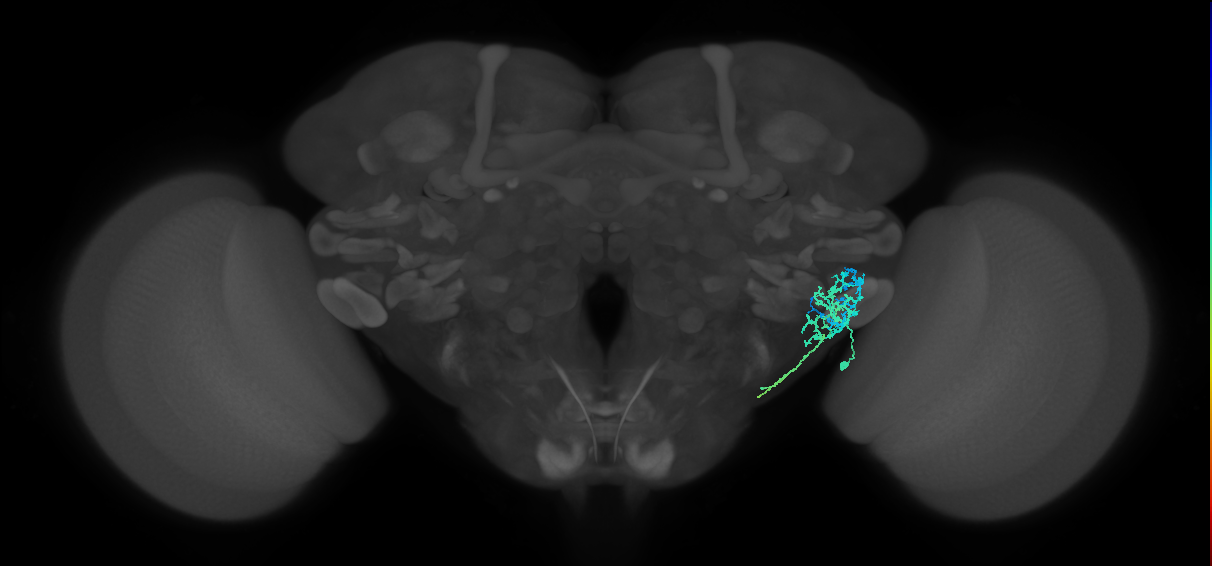 CB2651