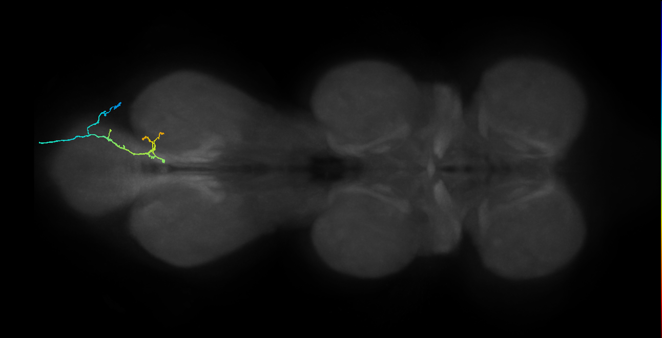 BANC_626:720575941473852458