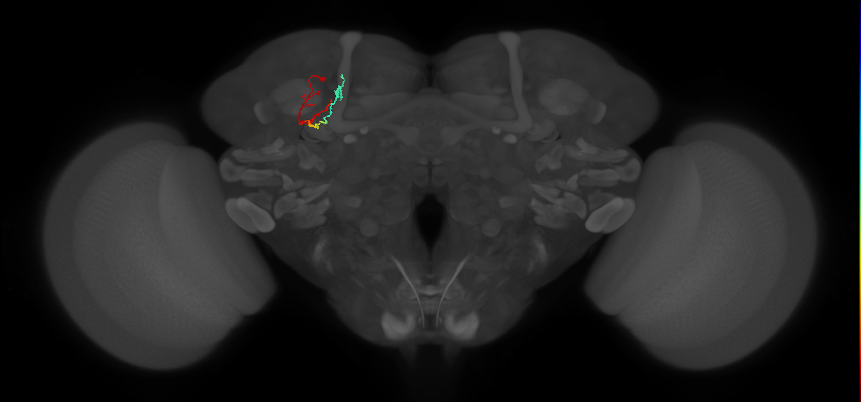 BANC_626:720575941476950833
