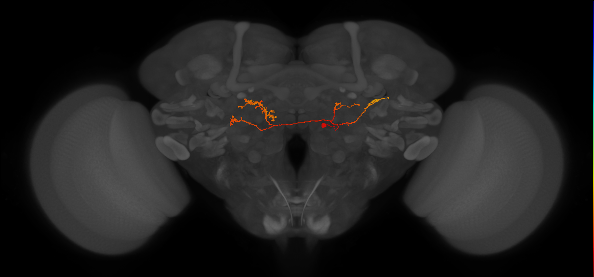 BANC_626:720575941477394740