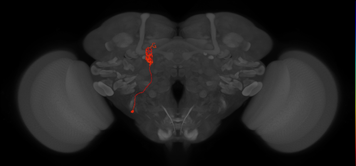 BANC_626:720575941477519668