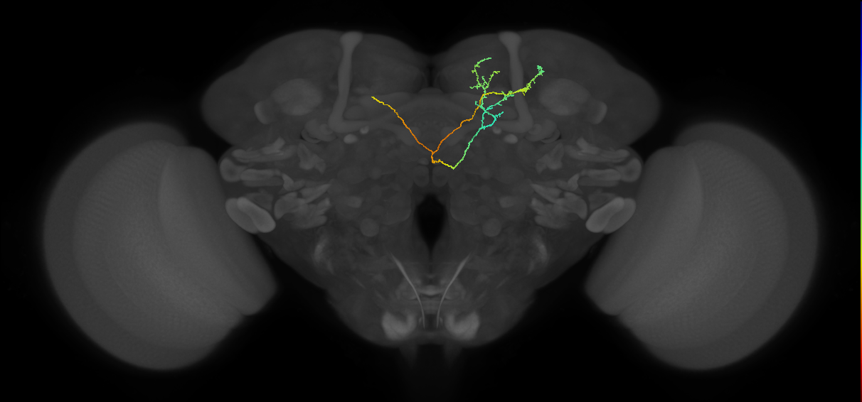 BANC_626:720575941477557300