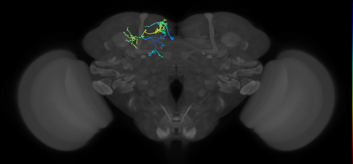 BANC_626:720575941478616426