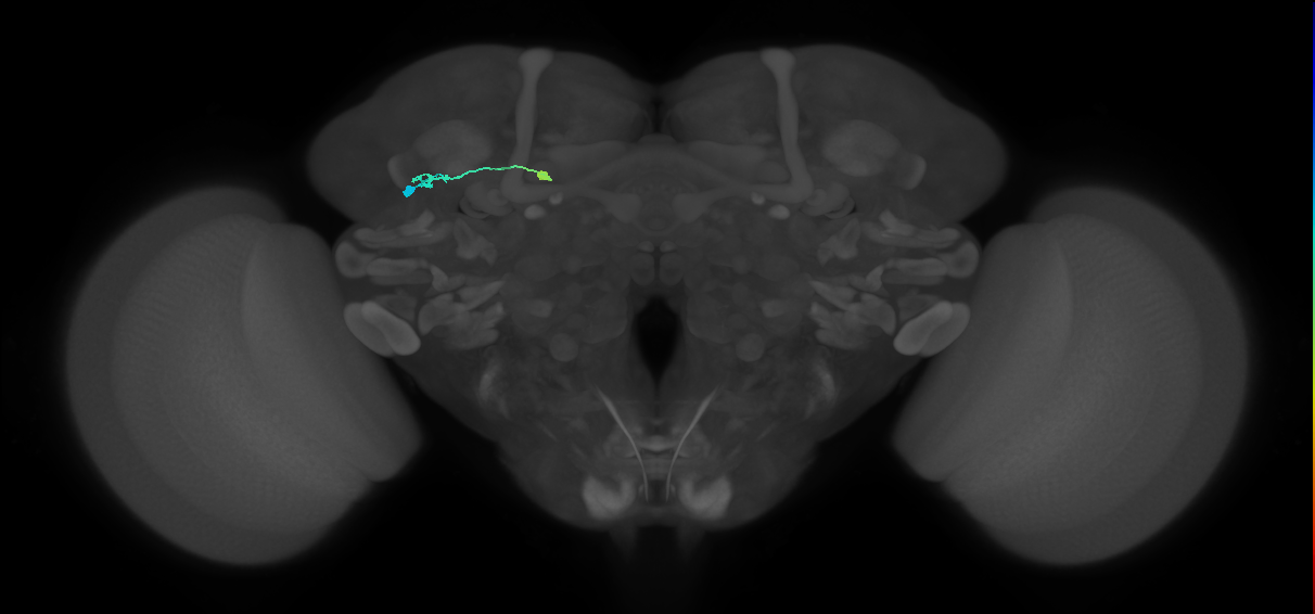 BANC_626:720575941479319715