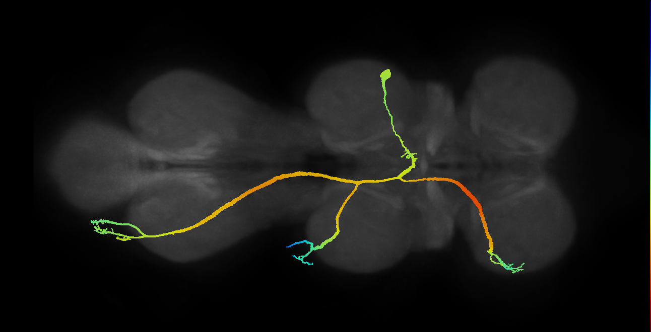 BANC_626:720575941450756167