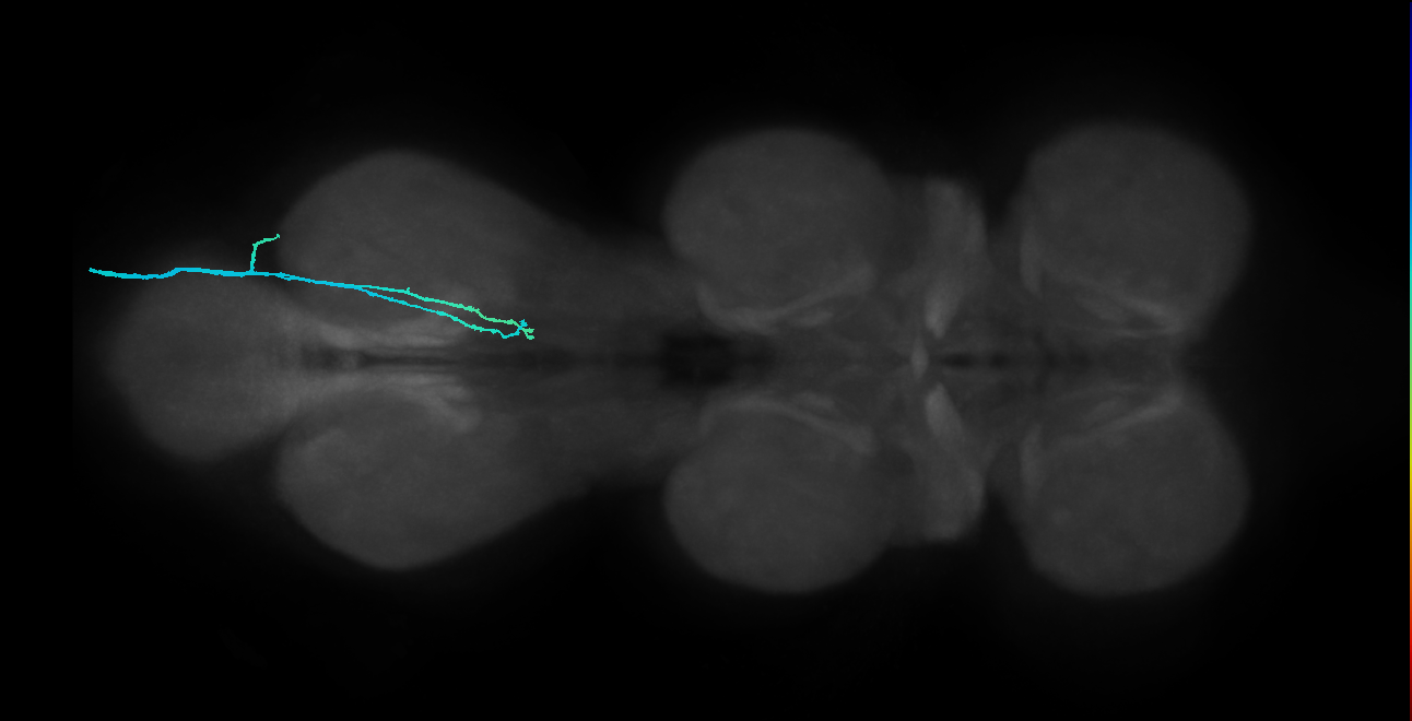 BANC_626:720575941451573882