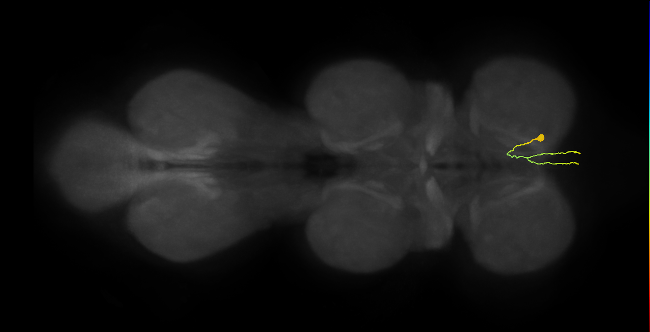 AN01A055