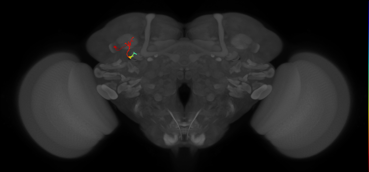 BANC_626:720575941458019999