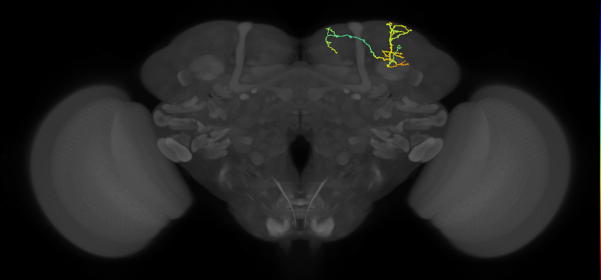 BANC_626:720575941463889933