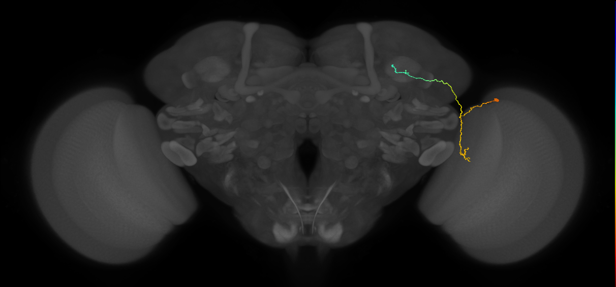 BANC_626:720575941436541228