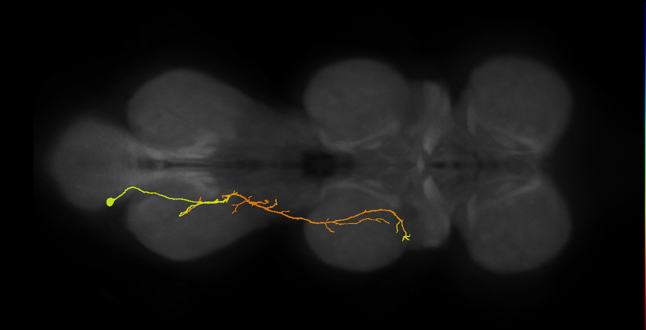 BANC_626:720575941436638240