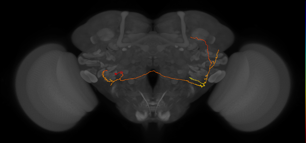 CB2883