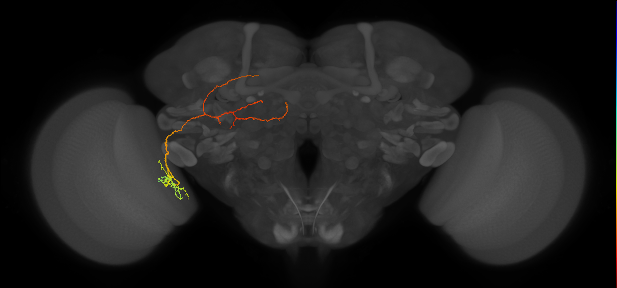 BANC_626:720575941440679871