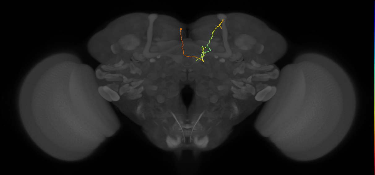BANC_626:720575941402782576