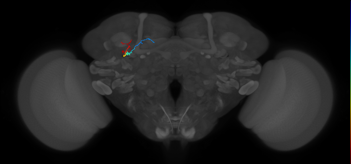 BANC_626:720575941410191275