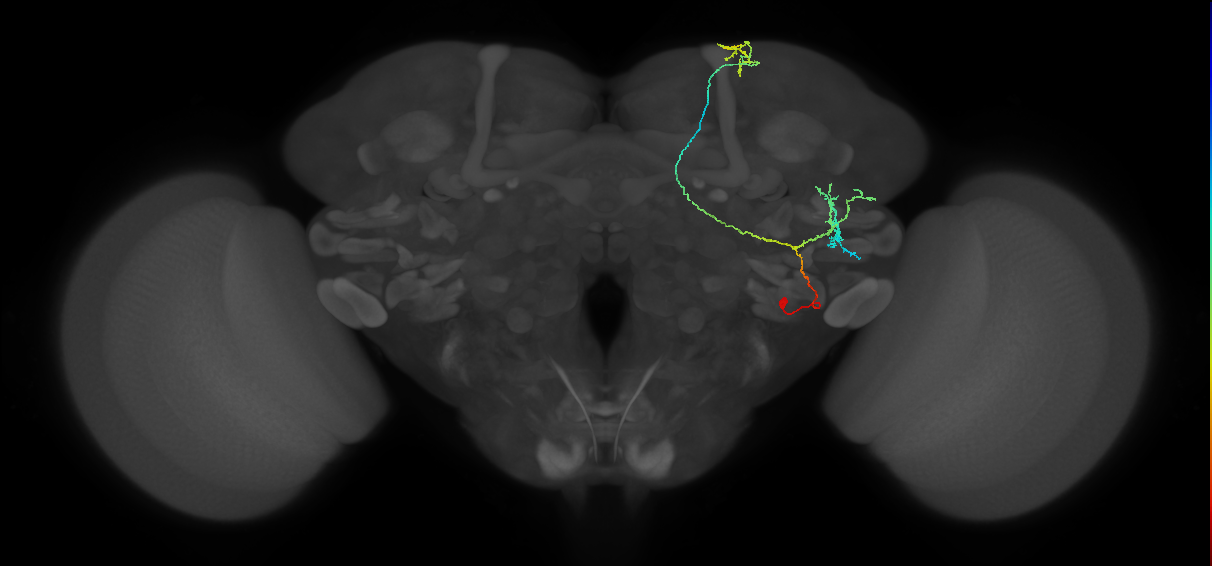 BANC_626:720575941412301423