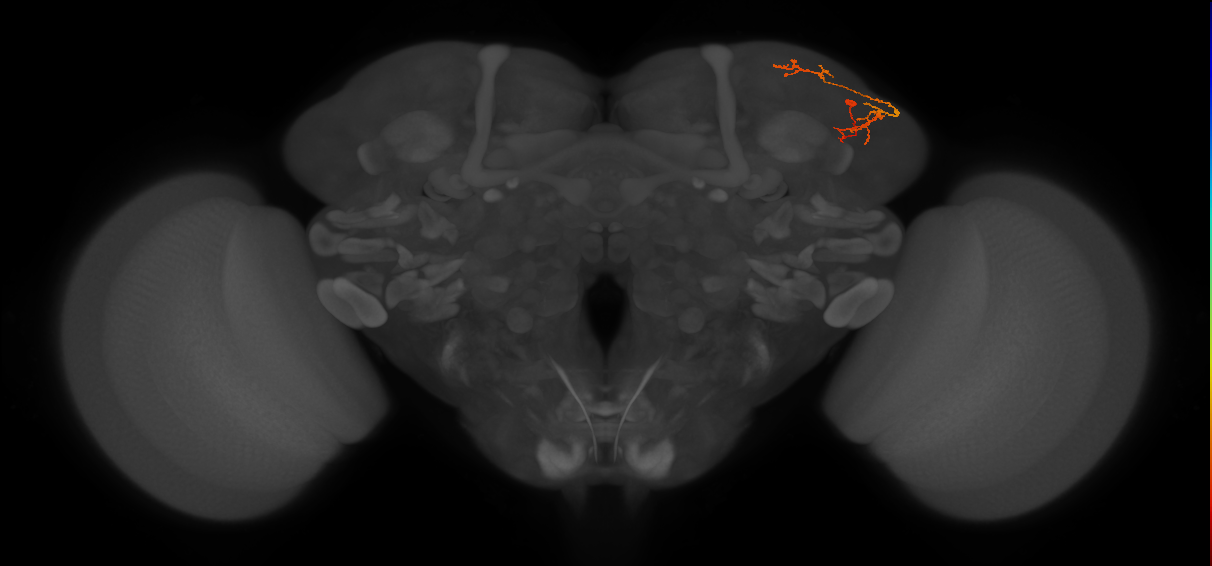 CB2554