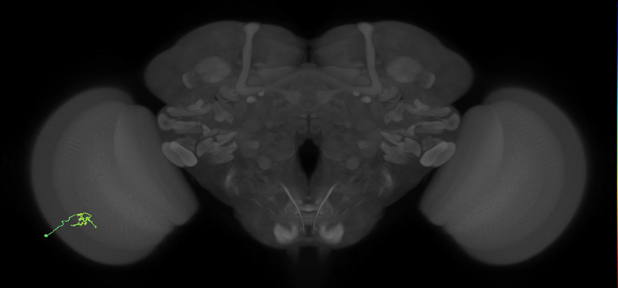 Cm2
