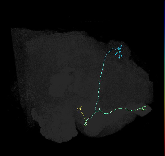 363034174