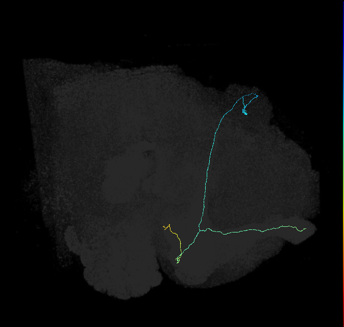 5812980803