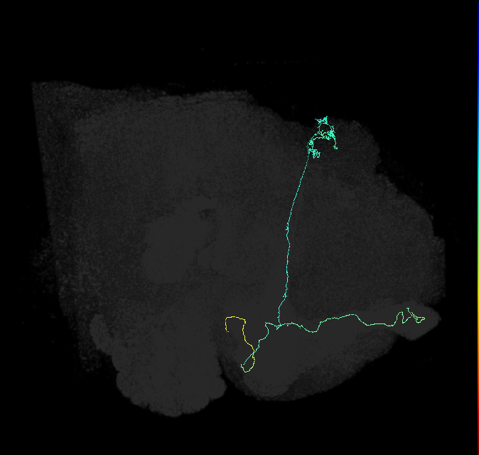 5812982177