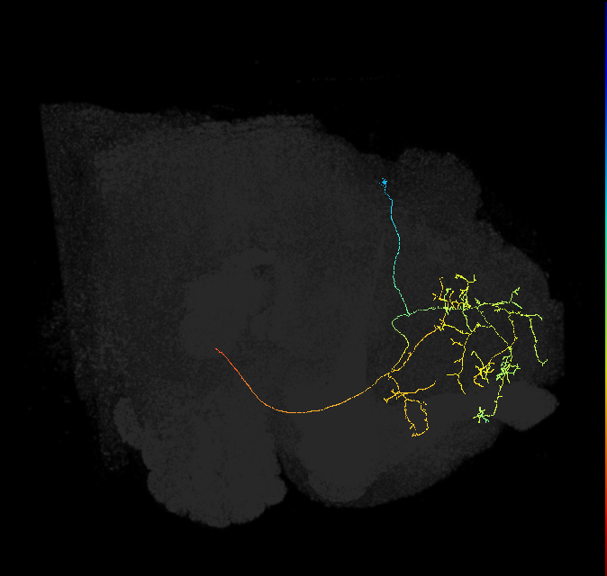 419337157