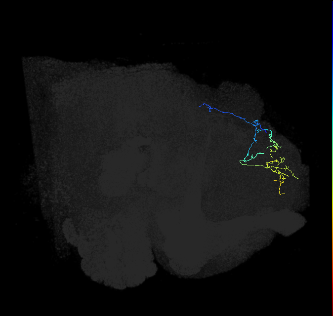 571709547