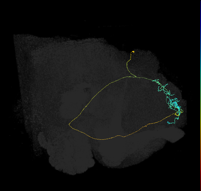 5812980501