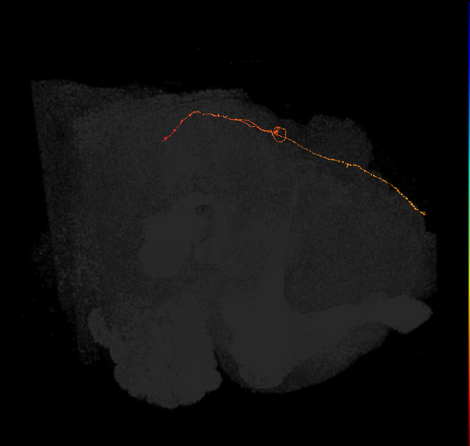 1529527067