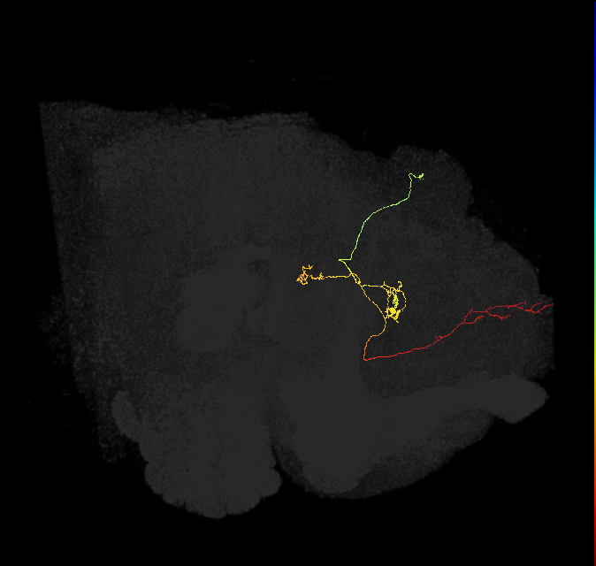 203598542