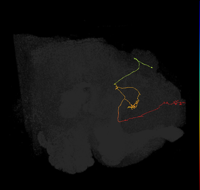 203598504