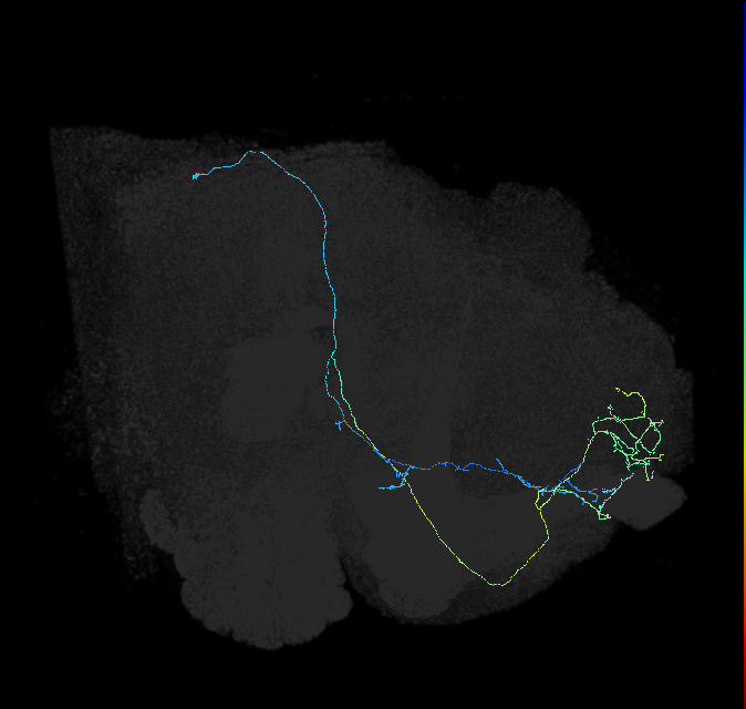 550953198
