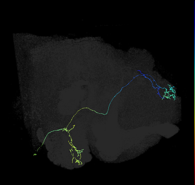 294792184