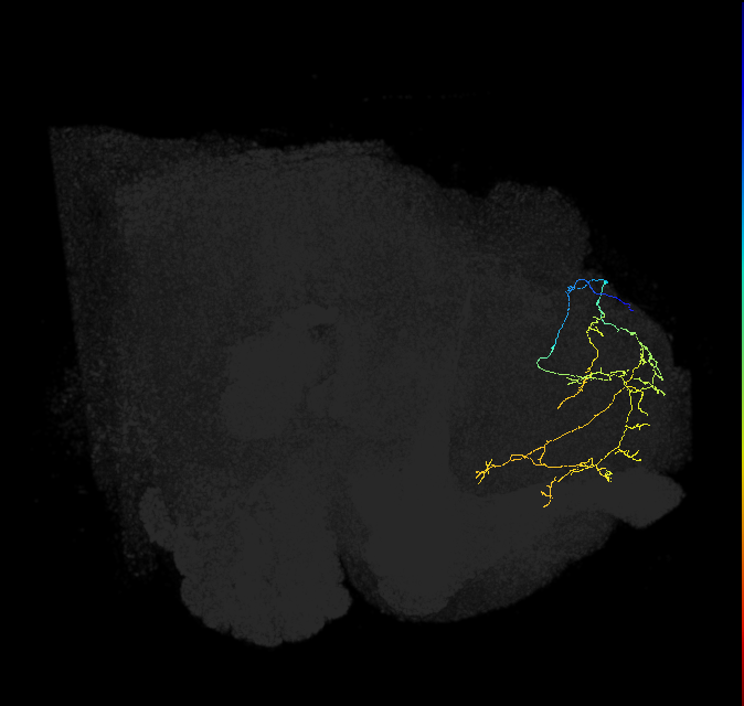 421054850
