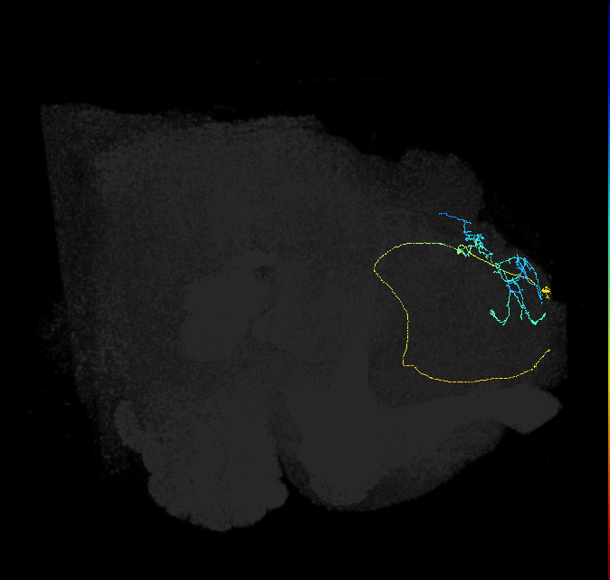 5812980483