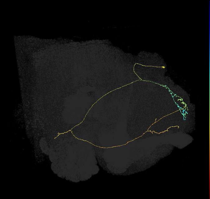 295136450