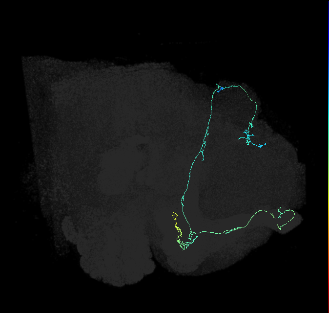 5812982782
