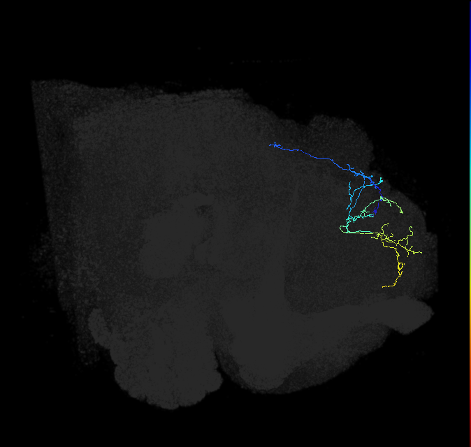 357949364